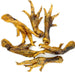 Just Feet Chicken Feet Color Natural