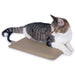 K&H Pet Products Extreme Weather Kitty Pad Petite Tan 9 X 12 Inches Color Brown