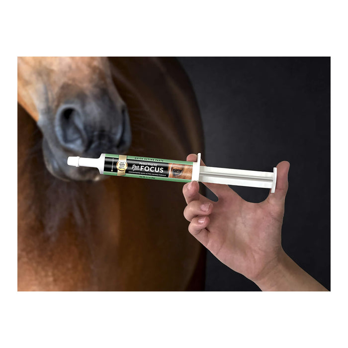 Perfect Prep EQ Pro Focus Paste for Horses, 1.1 oz - PEPBC - 1.1 oz tube - 6