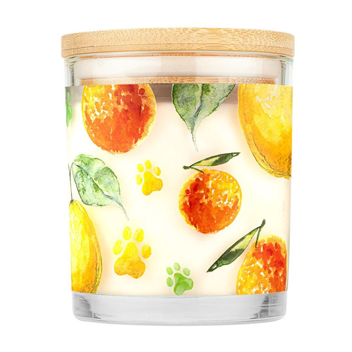 Pet House Candle, 9 oz – Pet Odor Eliminating, Non - Toxic, Long - Lasting, Hand - Poured in USA - PHC2 - Fresh Citrus - 9 oz - 1 ct - 2