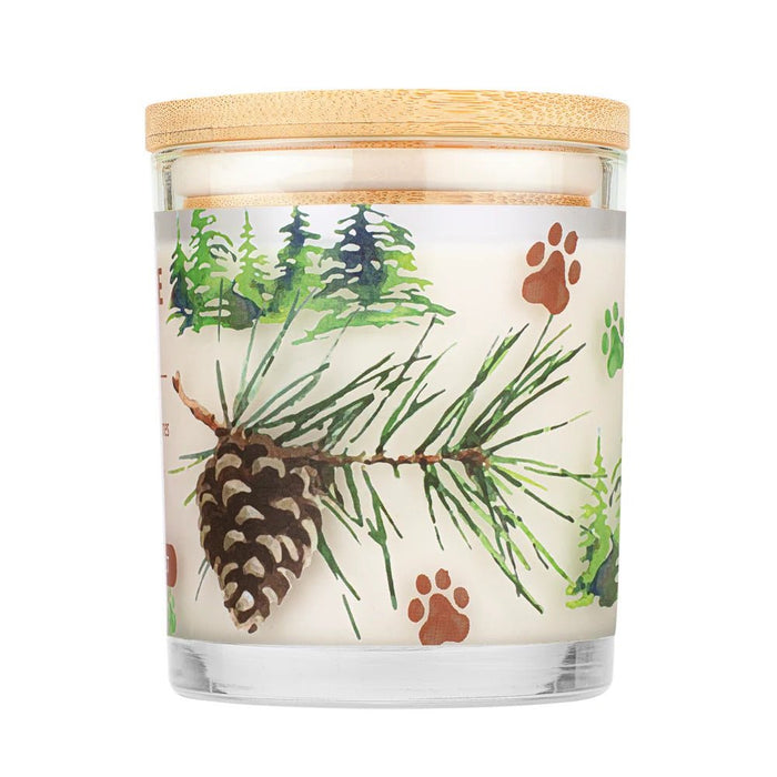 Pet House Candle, 9 oz – Pet Odor Eliminating, Non - Toxic, Long - Lasting, Hand - Poured in USA - PHC4 - Evergreen Forest - 9 oz - 1 ct - 15