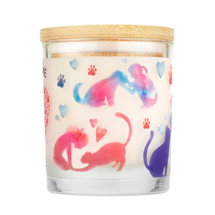 Pet House Candle, 9 oz – Pet Odor Eliminating, Non - Toxic, Long - Lasting, Hand - Poured in USA - PHCE - Welcome Home - 9 oz - 1 ct - 69
