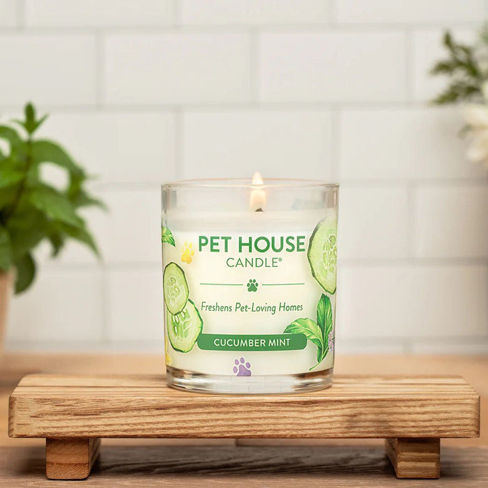 Pet House Candle, 9 oz – Pet Odor Eliminating, Non - Toxic, Long - Lasting, Hand - Poured in USA - PHCF - Cucumber Mint - 9 oz - 1 ct - 77