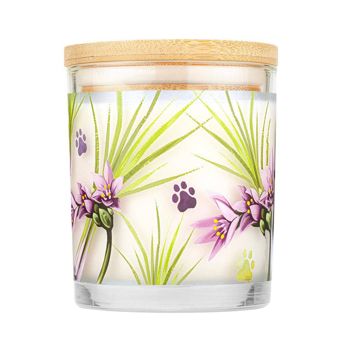 Pet House Candle, 9 oz – Pet Odor Eliminating, Non - Toxic, Long - Lasting, Hand - Poured in USA - PHCG - Lemongrass - 9 oz - 1 ct - 79