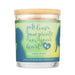 Pet House Candle, 9 oz – Pet Odor Eliminating, Non - Toxic, Long - Lasting, Hand - Poured in USA - PHCL - Lemon Verbena - 9 oz - 1 ct - 98