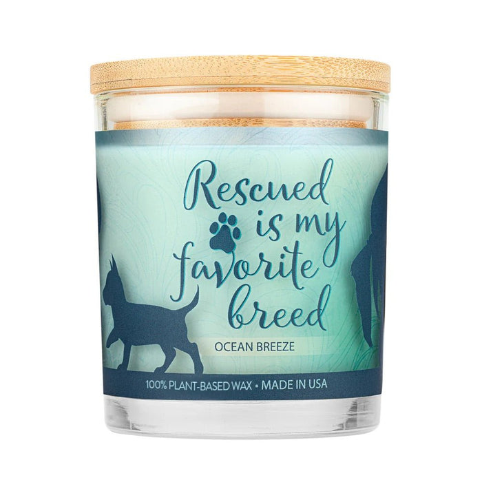 Pet House Candle, 9 oz – Pet Odor Eliminating, Non - Toxic, Long - Lasting, Hand - Poured in USA - PHCM - Ocean Breeze - 9 oz - 1 ct - 103