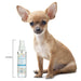 Pet House Freshening Room Sprays, 4 oz – Concentrated, Non - Toxic, Safe for Pet Homes - PHCBN - 4 fl oz - Sunwashed Cotton - 16