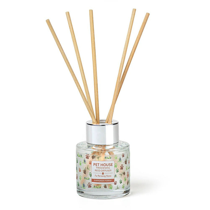 Pet House Reed Diffuser – Pet - Friendly Odor Neutralizer for Homes - PHCBY - Evergreen Forest - 3 fl oz - 25