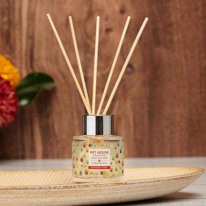 Pet House Reed Diffuser – Pet - Friendly Odor Neutralizer for Homes - PHCBY - Evergreen Forest - 3 fl oz - 30