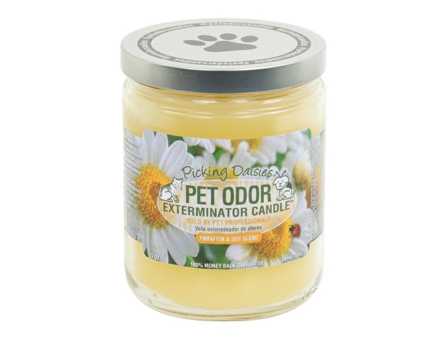 Pet Odor Exterminator Candle – Enzyme - Based Odor Eliminating Candle Safe for Pets - SPTAC - Picking Daisy - 13 oz - 67