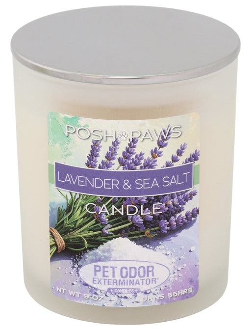 Pet Odor Exterminator Candle – Enzyme - Based Odor Eliminating Candle Safe for Pets - SPTH9 - Lavender & Sea Salt - 9 oz - 81