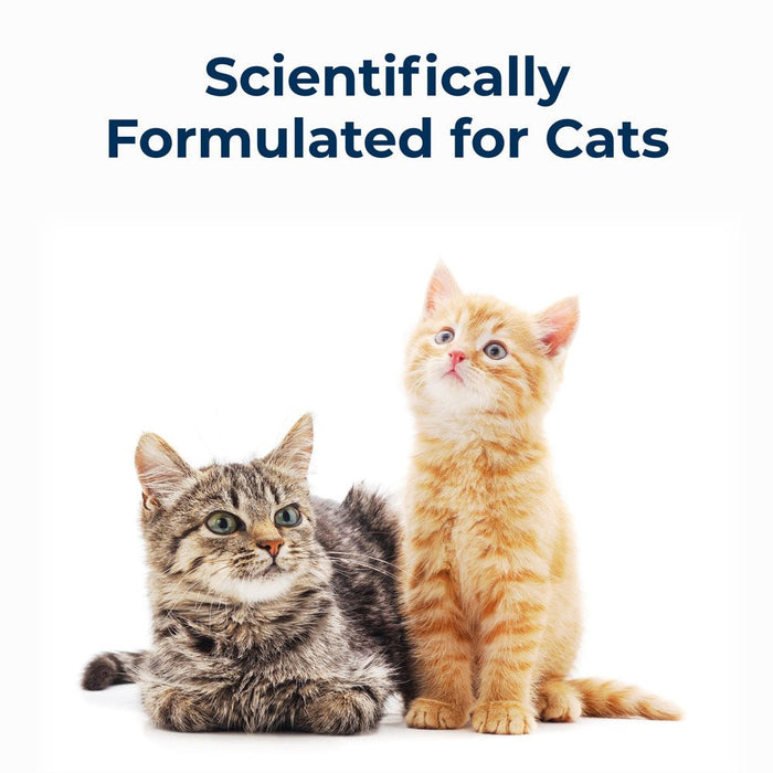 PetAg Cat - Sip Real Milk Treat - Ready to Feed Snack for Cats - 4 Pack - B7ZU - 4 (8 oz bottles) - 1 - 6