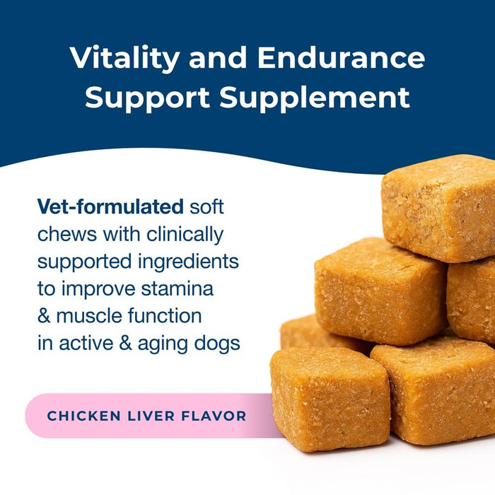 PetAg Dyne Endurance & Vitality Soft Chews for Dogs – Chicken Liver Flavor, 60 Count - B7ZT - Chicken Liver - 60 Soft Chews - 4