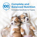 PetAg Esbilac Puppy Milk Replacer Liquid Supplement, Ready - to - Feed Formula with Vitamins - B7ZN - Liquid - 16 oz - 1 - 7