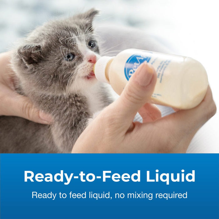 PetAg KMR Kitten Milk Replacer Liquid Supplement, Ready - to - Feed Formula with Vitamins - B7ZM - Liquid - 16 oz - 1 - 6
