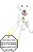 Pet*iD Tag Service Plan Pack - Jeffers - Animal & Pet Supplies > Pet ID Tags