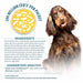 Pet's Choice Gut Instincts Probiotic Powder Packets for Dogs – Daily Digestive & Immune Support, 30 Count - 015PC-ZVG - Chicken Liver - 30 ct - 9