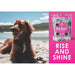 Phelps Wellness Keep Calm and Canine On! Flavor Salmon & Chicken