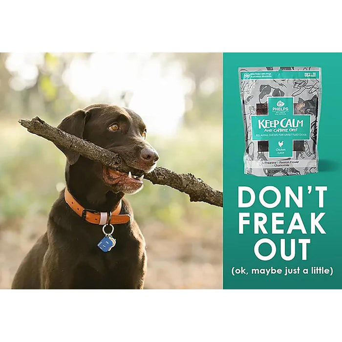 Phelps Wellness Functional Dog Chew Supplements – Calming, Digestive, Skin & Coat, Hip & Joint, Sensitive Stomach & Brain Support Treats, 4.5 oz - PH3AA - Keep Calm - Relaxing - Chicken - 4.5 oz - 4