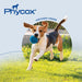 Phycox HA (Hypo - Allergenic) Small Bites for Dogs, 120 ct - 015PHA-8013-6 - Brown - 5