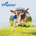 Phycox MAX Canine Joint Supplement Soft Chews, 90 ct - 015DP-PSCMAX - Beef Liver - 2