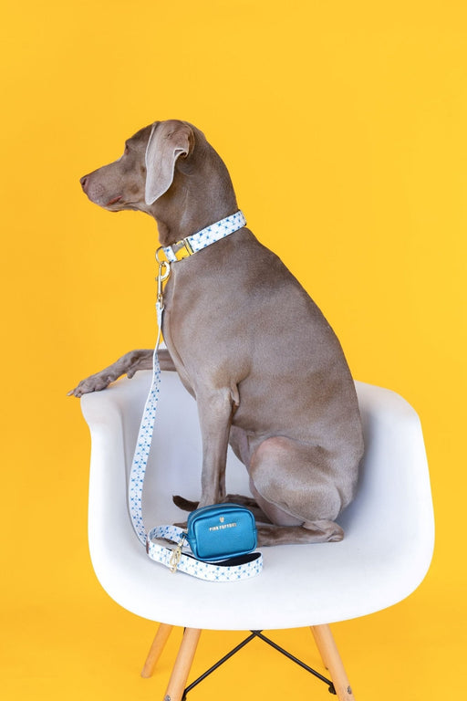 Pink Papyrus Avery Dog Leash, 6 ft - PA22Q - Drew/Blue/White - 5
