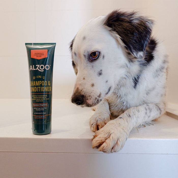 Plant - Based 2 - in - 1 Rosemary Shampoo & Conditioner for Dogs, 8 oz - 7VXG - 4