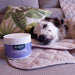 Plant - Based Calming Soft Chews for Dogs, 90 ct - 7VXQ - 7