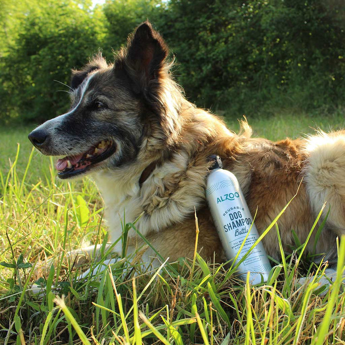Plant - Based Concentrated Dog Shampoo Powder Kit & Refillable Pouches, 40g (16 oz) - 7VXK - Kit - (1) 16 oz Refillable Bottle & (1) 16 oz Shampoo Powder - Sensitive Skin - 4