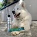 Plant - Based Concentrated Dog Shampoo Powder Kit & Refillable Pouches, 40g (16 oz) - 7VXL - Refill Shampoo Pouch - 40g (16 oz) - Sensitive Skin - 9