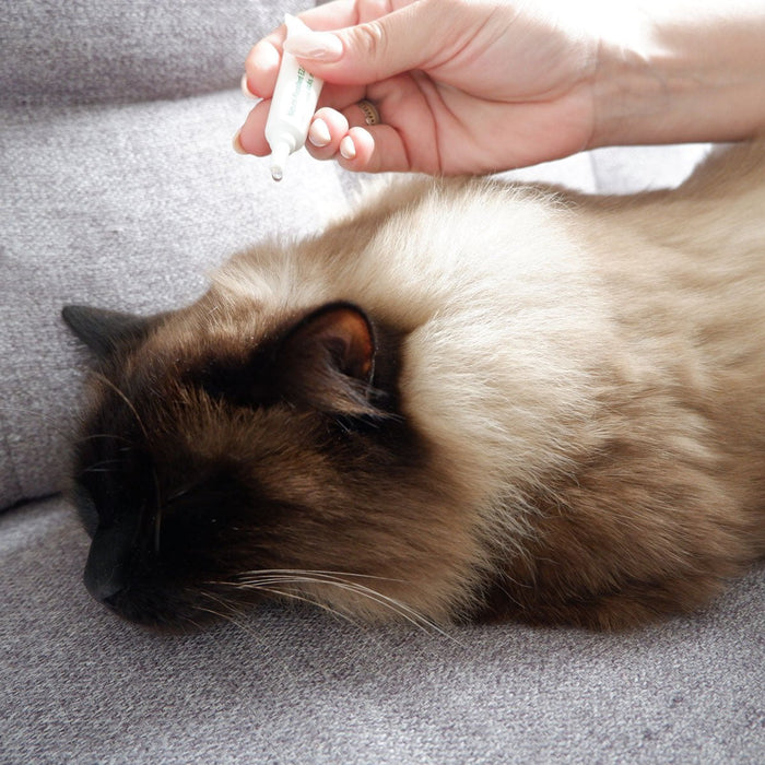 Plant - Based Flea & Tick Squeeze - On Topical for Cats - 7VW8 - 3 Applicators (3 Month Supply) - 5