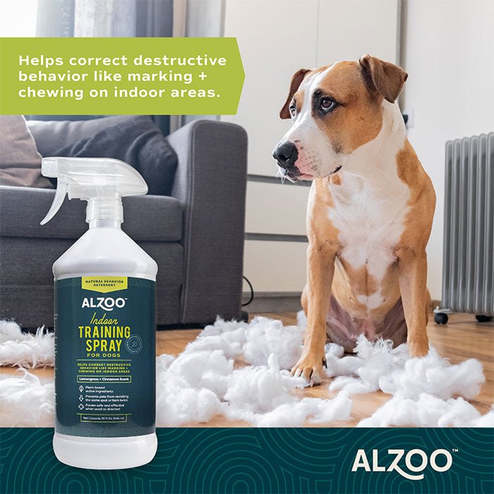 Plant - Based Indoor Dog Training Spray, 32 oz - 7VX6 - 4