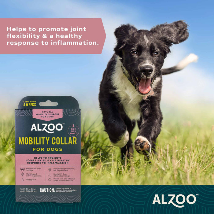 Plant - Based Mobility Collar for Dogs - Helps Joint Flexibility & Inflammation - 7VWV - 6