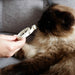 Plant - Based Natural Calming Collar for Cats - 7VWU - 6