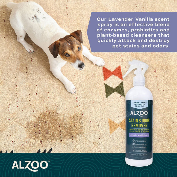Plant - Based Stain & Odor Remover with Active Enzymes & Probiotic Scented Spray - 7VWY - Lavender Vanilla - 16 oz - 19