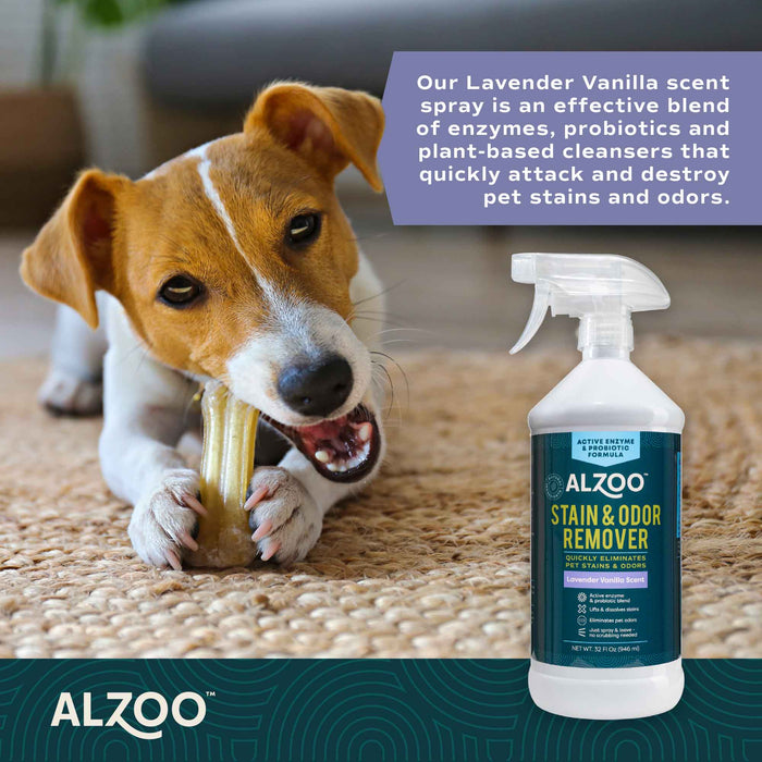 Plant - Based Stain & Odor Remover with Active Enzymes & Probiotic Scented Spray - 7VX2 - Lavender Vanilla - 32 oz - 11