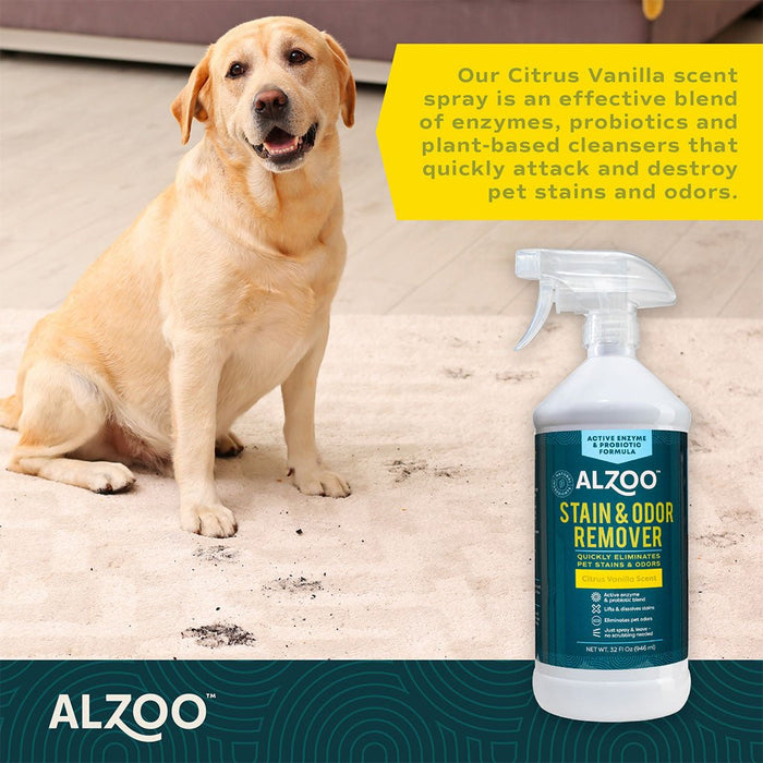 Plant - Based Stain & Odor Remover with Active Enzymes & Probiotic Scented Spray - 7VX3 - Citrus Vanilla - 32 oz - 4
