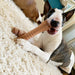 Power Chew Dog Toy, Bacon, X - Large/Souper, 50+ lbs - N9Z6 - Bacon - X - Large/Souper - 6