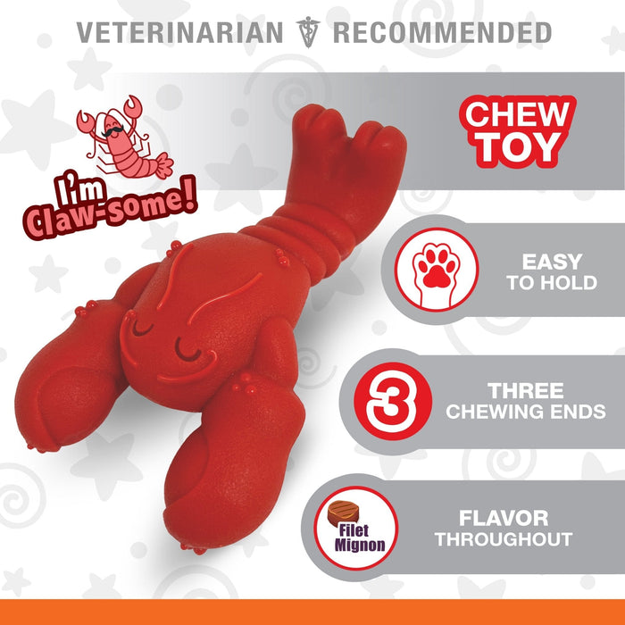 Power Chew Lobster Dog Toy, Filet Mignon - N9ZR - Medium/Wolf - 3