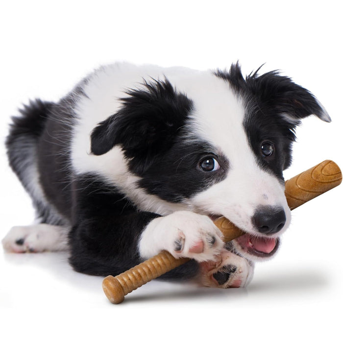 Powerbone Baseball Bat Dog Chew Toy for Power Chewers, 12" - 022TPB-1349 - Meaty - 3