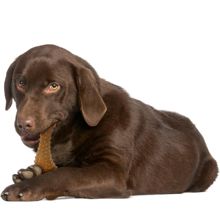 Powerbone Chicken Thigh Dog Chew Toy for Power Chewers, 6" - 022TPB-1348 - Meaty - 4