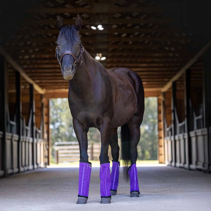 Pre - Sale Jeffers Romper Stomper "Stomp - Free" Fly Boots for Horses, 4 pack - JEF2R3 - Pre - Sale Purple - Small - 4 Pack - 29
