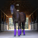 Pre - Sale Jeffers Romper Stomper "Stomp - Free" Fly Boots for Horses, 4 pack - JEF2R3 - Pre - Sale Purple - Small - 4 Pack - 29