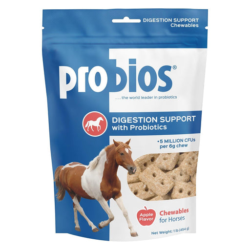 Probios Digestion Support Horse Treats, 1 lb - PNPE - Apple - 1
