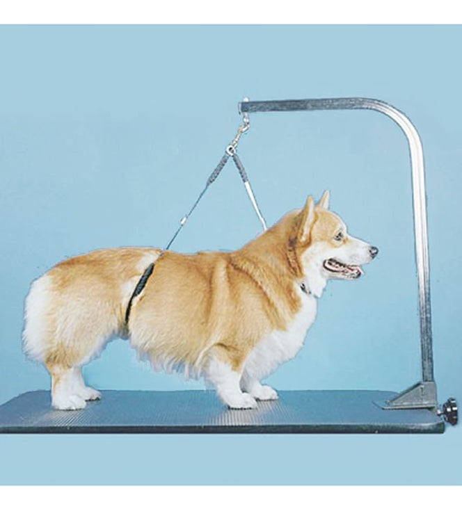 Proguard No-Sit Haunch Holder for Pet Bathing and Grooming — Lambert ...