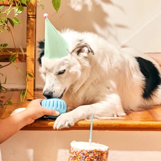 Pupsicle 'Birthday' Party Treat Dispensing Dog Toy – Interactive, Long - Lasting Chew & Puzzle Toy for Dogs - WO2AZ - Small - Blue - 1 ct - 13