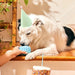 Pupsicle 'Birthday' Party Treat Dispensing Dog Toy – Interactive, Long - Lasting Chew & Puzzle Toy for Dogs - WO2AZ - Small - Blue - 1 ct - 13
