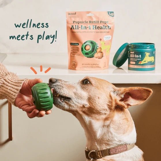 Pupsicle Everyday Wellness Pops Refills – Long Lasting Dog Treats for Joint, Calm, Allergy & Whole Body Health - WO2AA - All - In - 1 Health - Large - 8 oz - 6