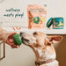 Pupsicle Everyday Wellness Pops Refills – Long Lasting Dog Treats for Joint, Calm, Allergy & Whole Body Health - WO2AA - All - In - 1 Health - Large - 8 oz - 6