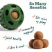 Pupsicle Everyday Wellness Pops Refills – Long Lasting Dog Treats for Joint, Calm, Allergy & Whole Body Health - WO2AA - All - In - 1 Health - Large - 8 oz - 3